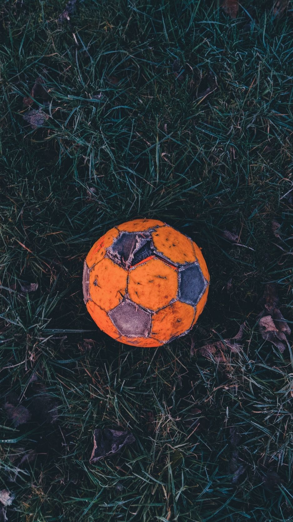 Descargar fondo de pantalla 938x1668 balón de fútbol, fútbol, viejo, hierba