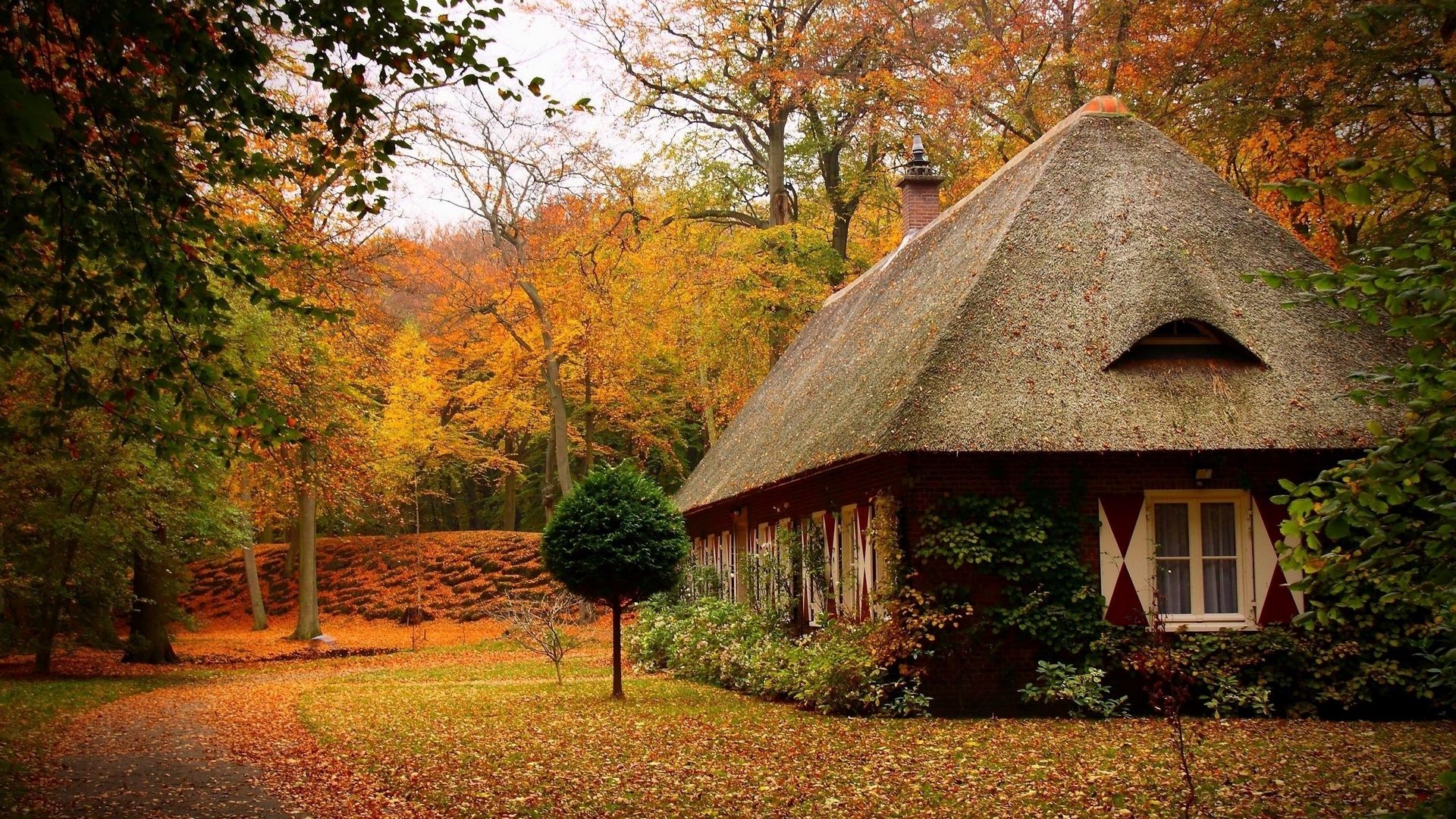 Descargar fondo de pantalla 1920x1080 cabañas, bosque, otoño, casa