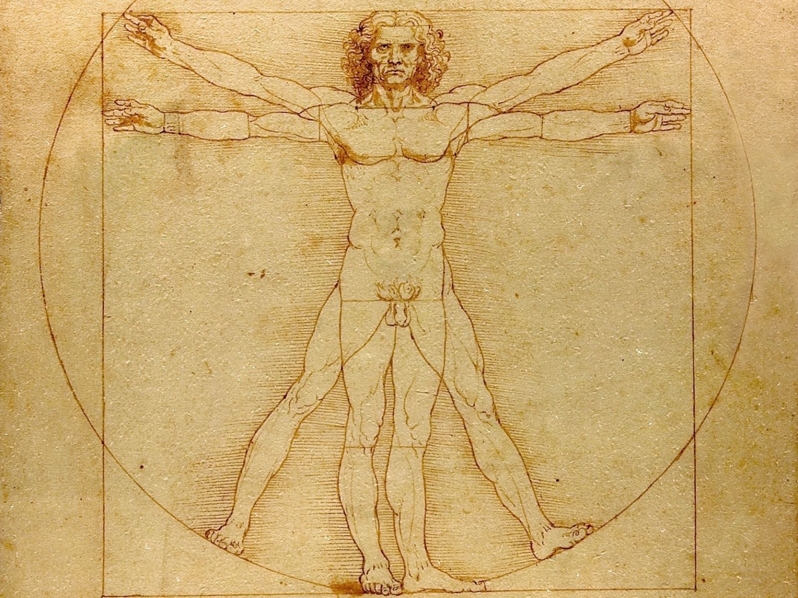 Fondos de pantalla de Leonardo Da Vinci 0.42 Mb | WallpapersExpert.com