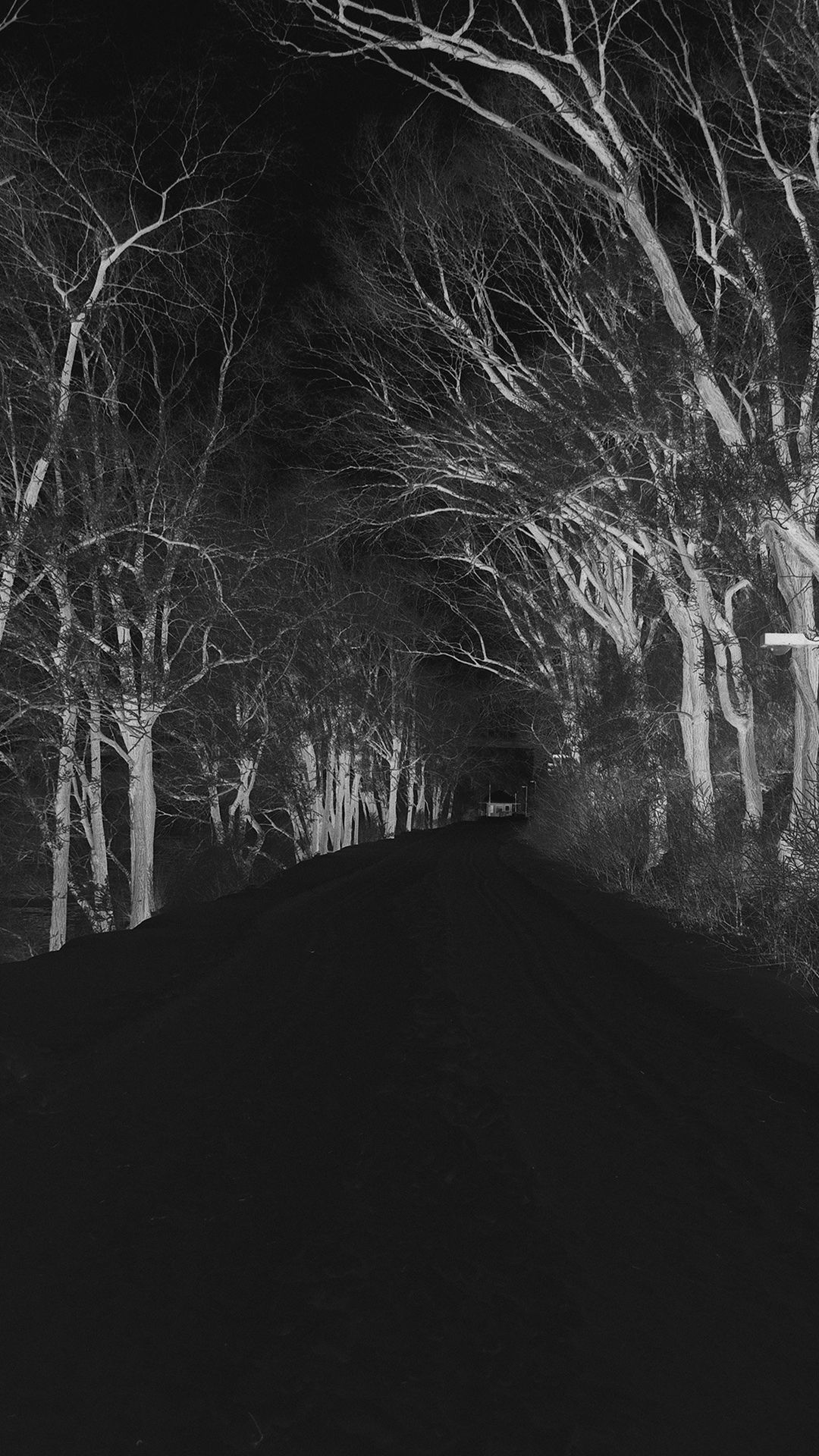 Invierno Scary Road Nature Mountain Dark - Fondos de pantalla de miedo para Iphone