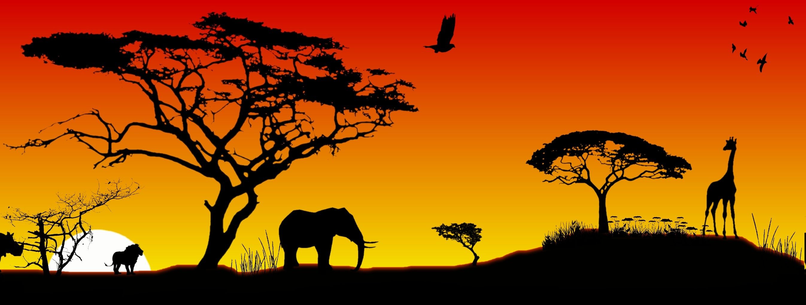 2935838 África animales fondo de pantalla y fondo | Animal | Tokkoro