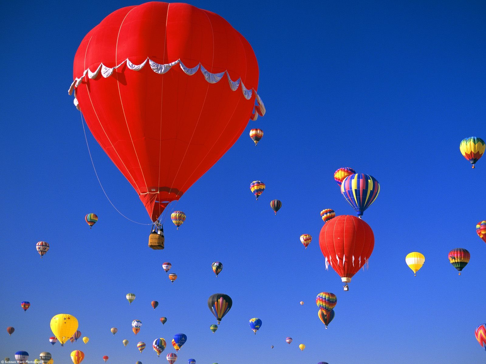 Simple Hot Air Balloons Wallpapers Mobile este mes | Tapet de pomelo