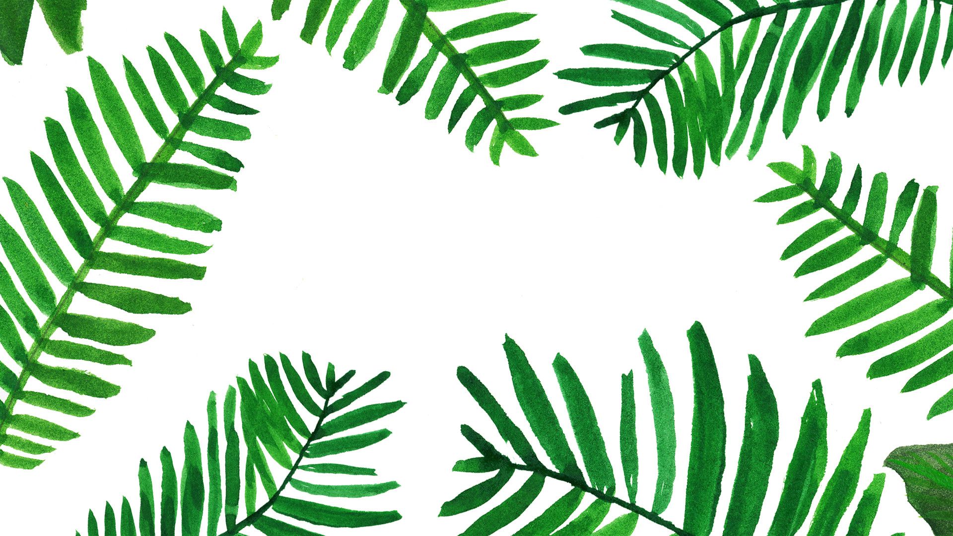 Fondo de pantalla de hoja de palma tropical (más de 24 imágenes)