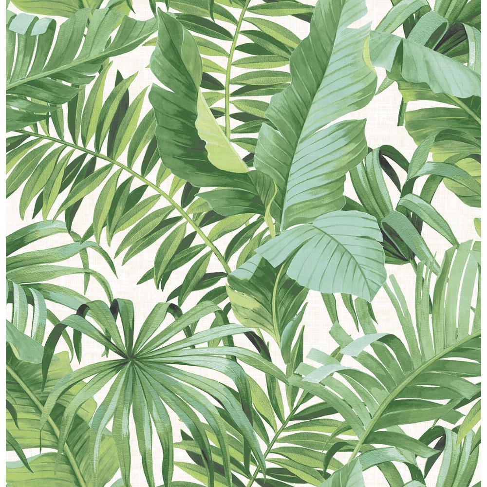 Fondo de pantalla de 56.4 pies cuadrados Alfresco Green Palm Leaf