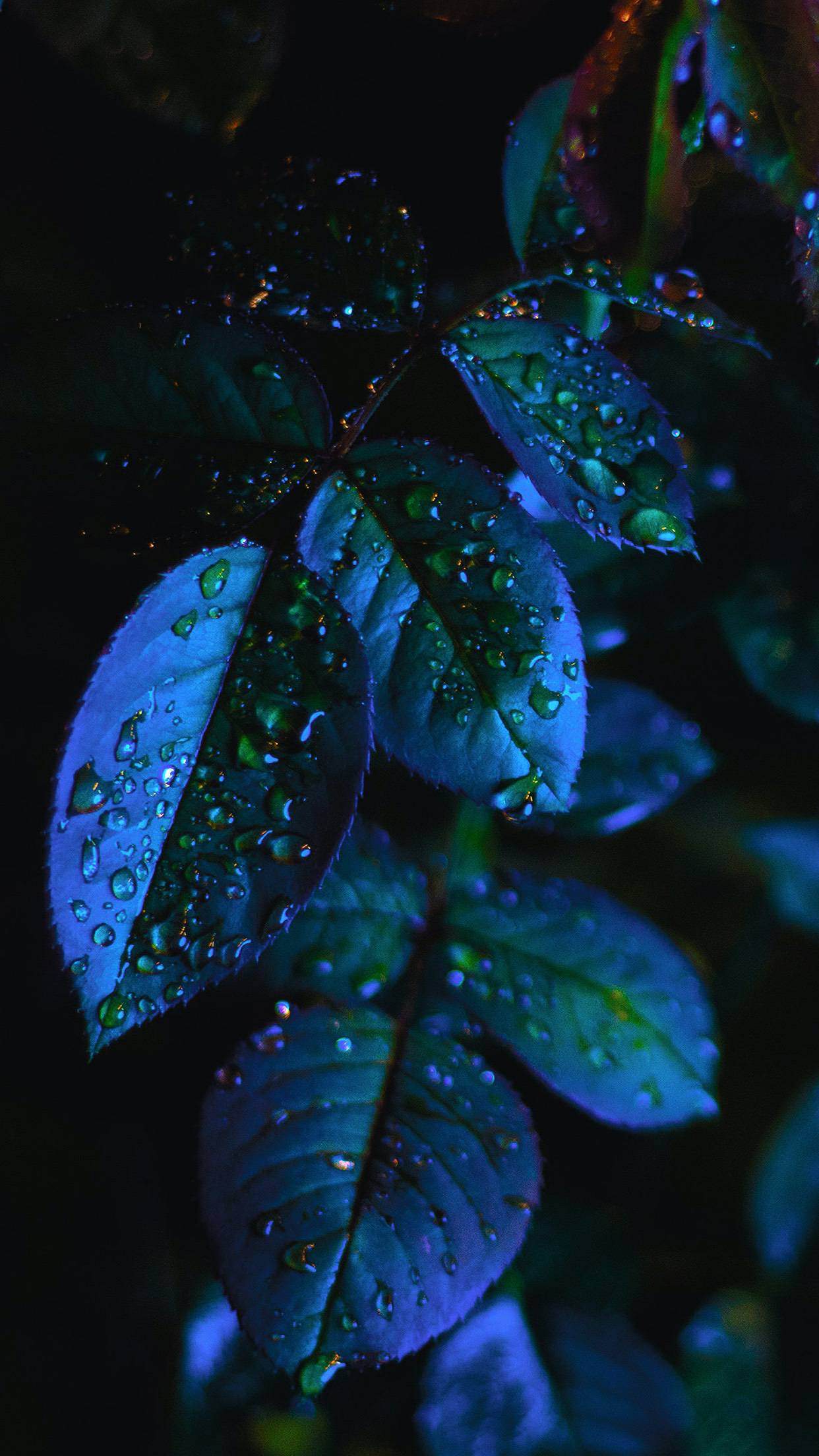 12 hermosos fondos de pantalla de iPhone X con hojas y plantas (Ep.5
