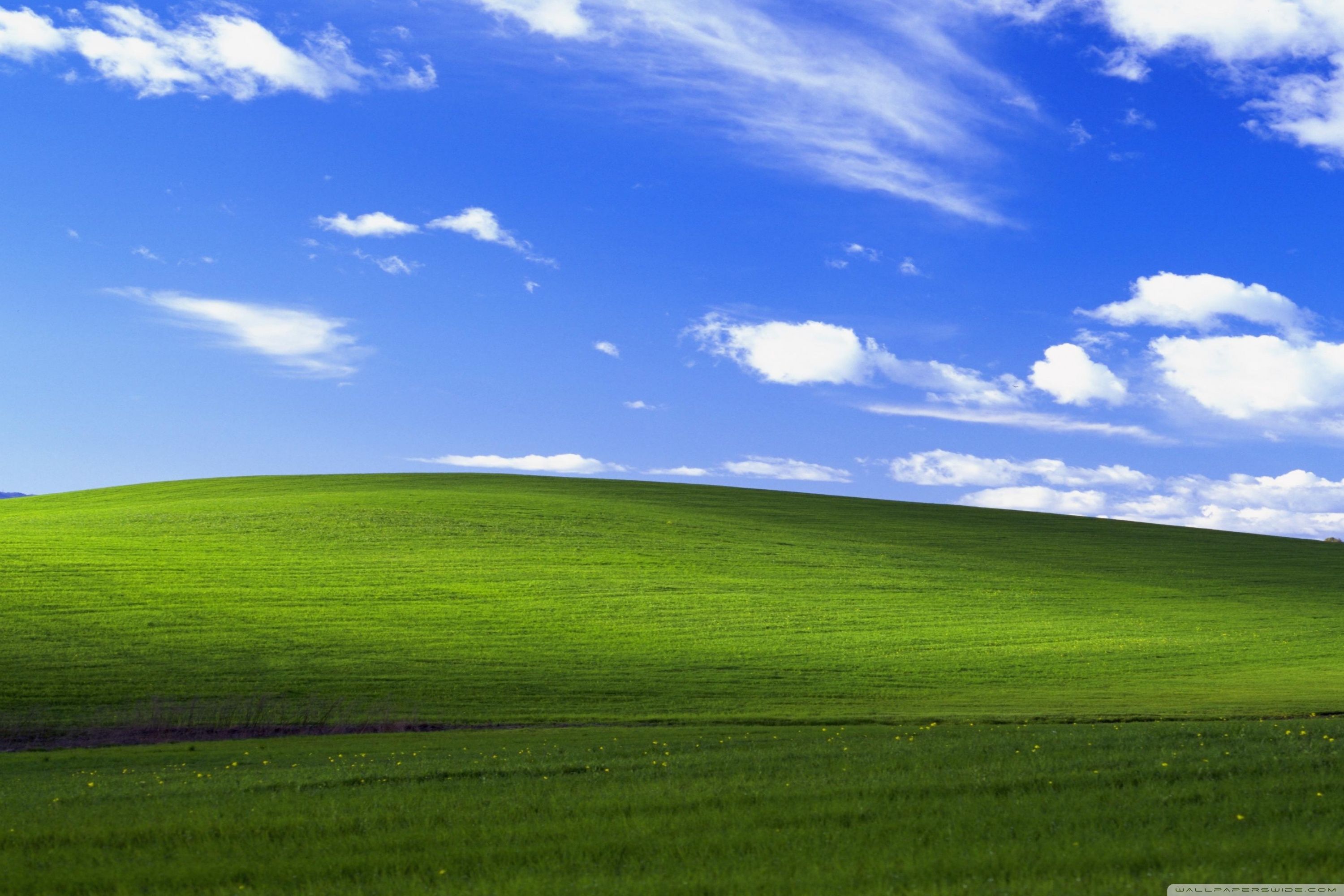 Windows XP ❤ Fondo de escritorio 4K HD para 4K Ultra HD TV • Amplio