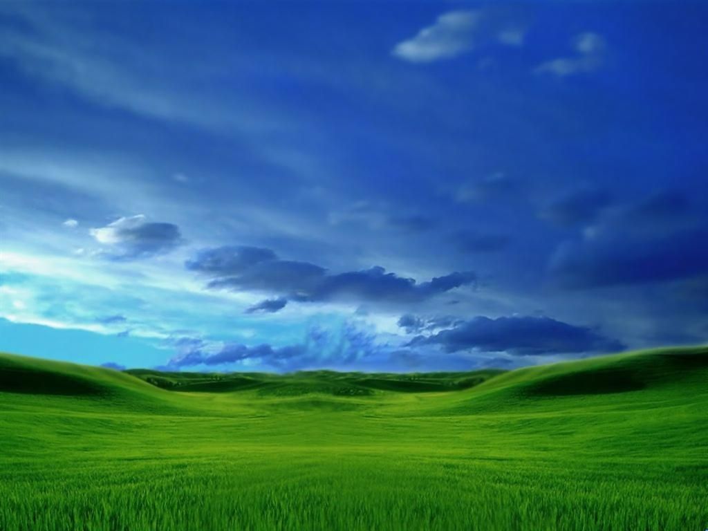 Viejos fondos de pantalla de Windows XP - WallpaperSafari | proyecto en 2019 | Nombre