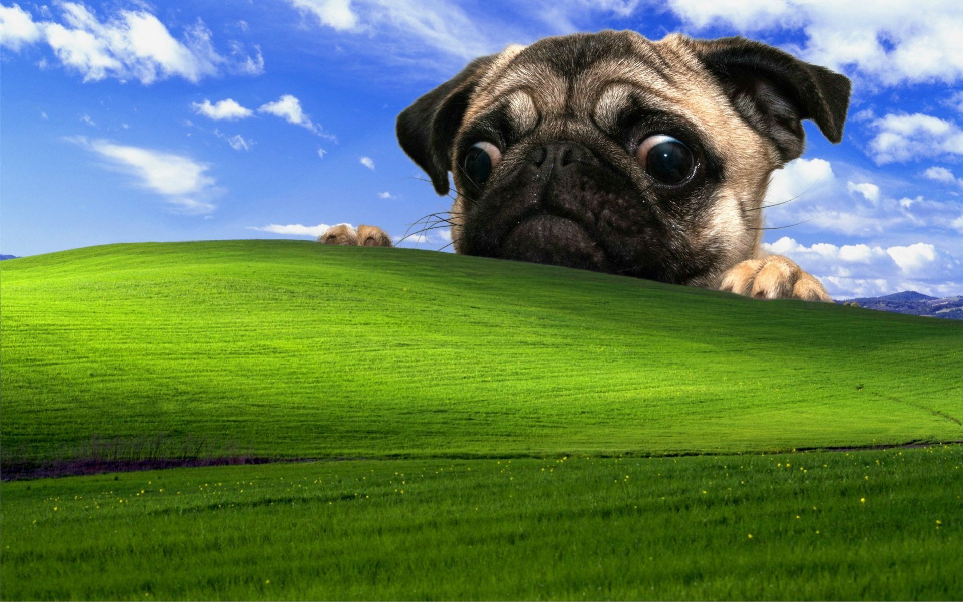Las 13 mejores tomas del fondo de pantalla de Windows XP Bliss - Dorkly Post