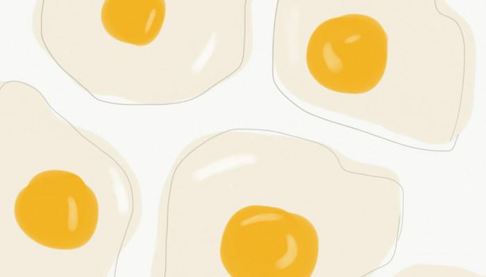 Fondos de huevos